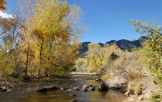 Doudy Draw Trailhead hike